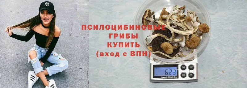 магазин продажи наркотиков  Коломна  Псилоцибиновые грибы MAGIC MUSHROOMS 